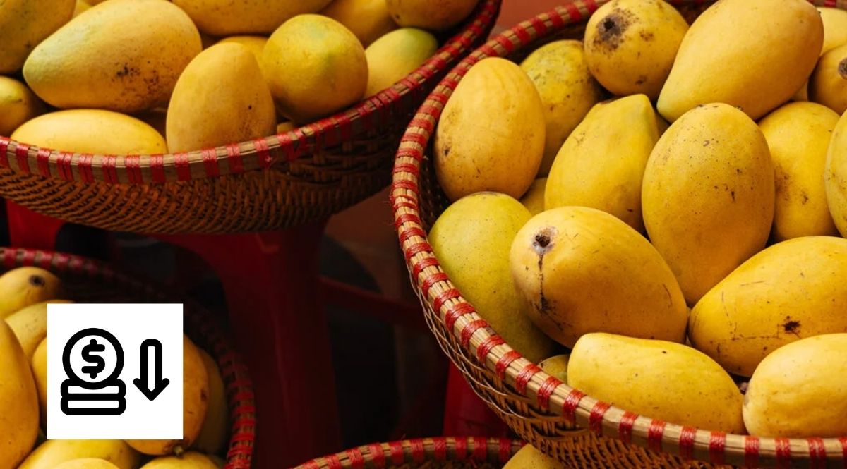 ভারতের রপ্তানিতে বড় ধাক্কা, যুক্তরাষ্ট্রে ঢুকল না ভারতের আম